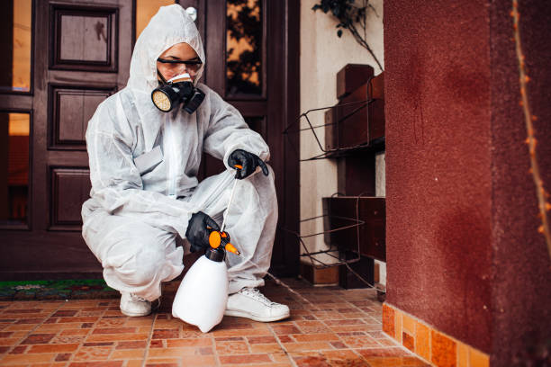 Attic and Crawl Space Rodent Treatment in Cresaptown