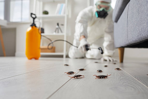 Commercial Rodent Management in Cresaptown